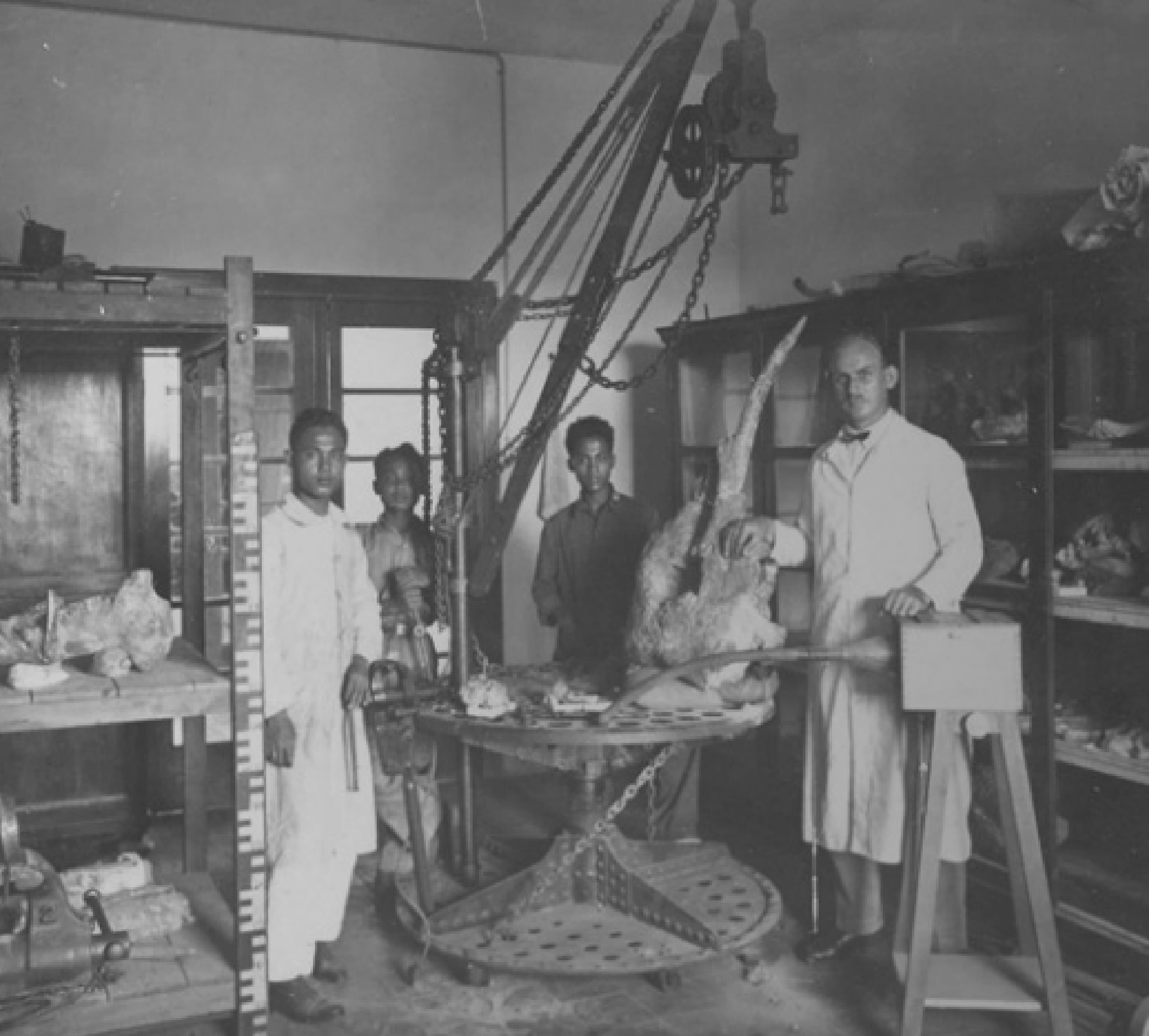 Museum Geologi Masa Belanda (1928-1942)