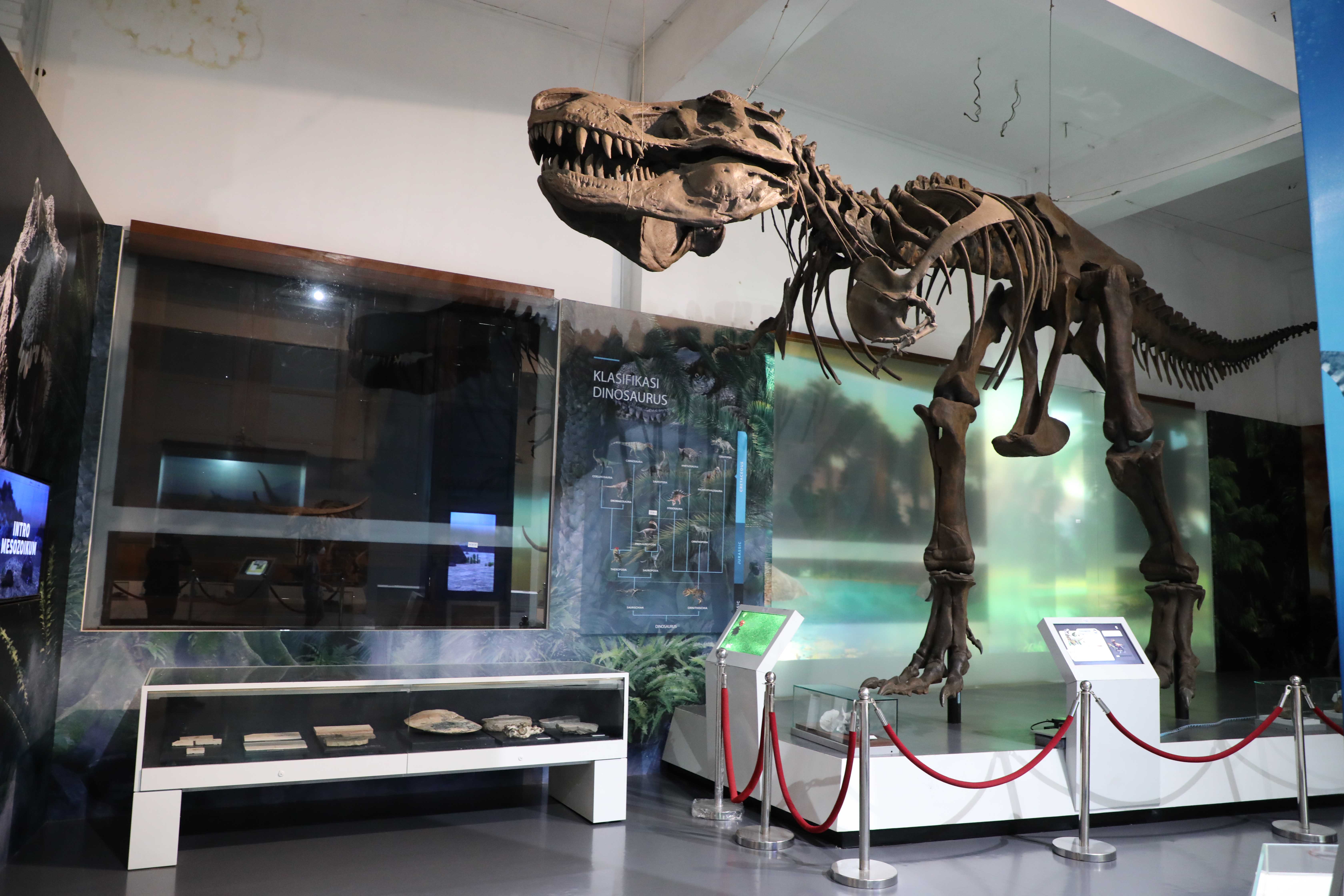 Ruang pameran Sejarah Kehidupan dengan koleksi replika fosil T-Rex