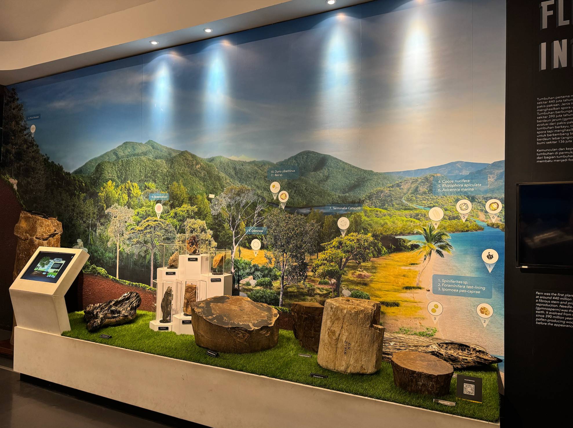 Lingkaran Tahun (Annual Rings) : Catatan Masa Lampau dalam Kayu