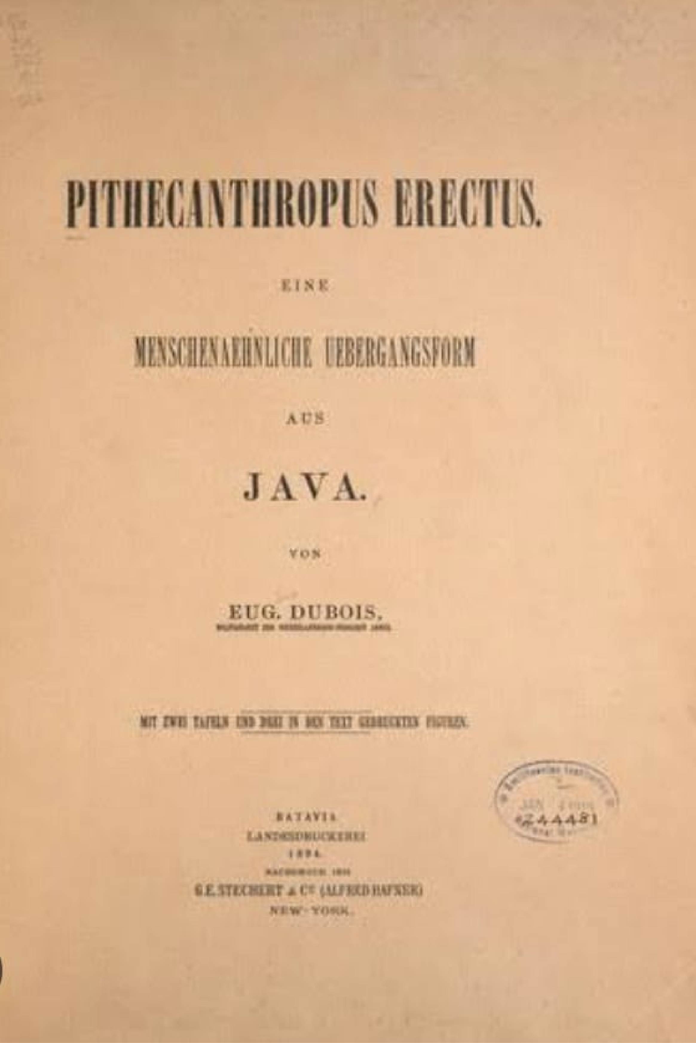 bibliographic-tracing