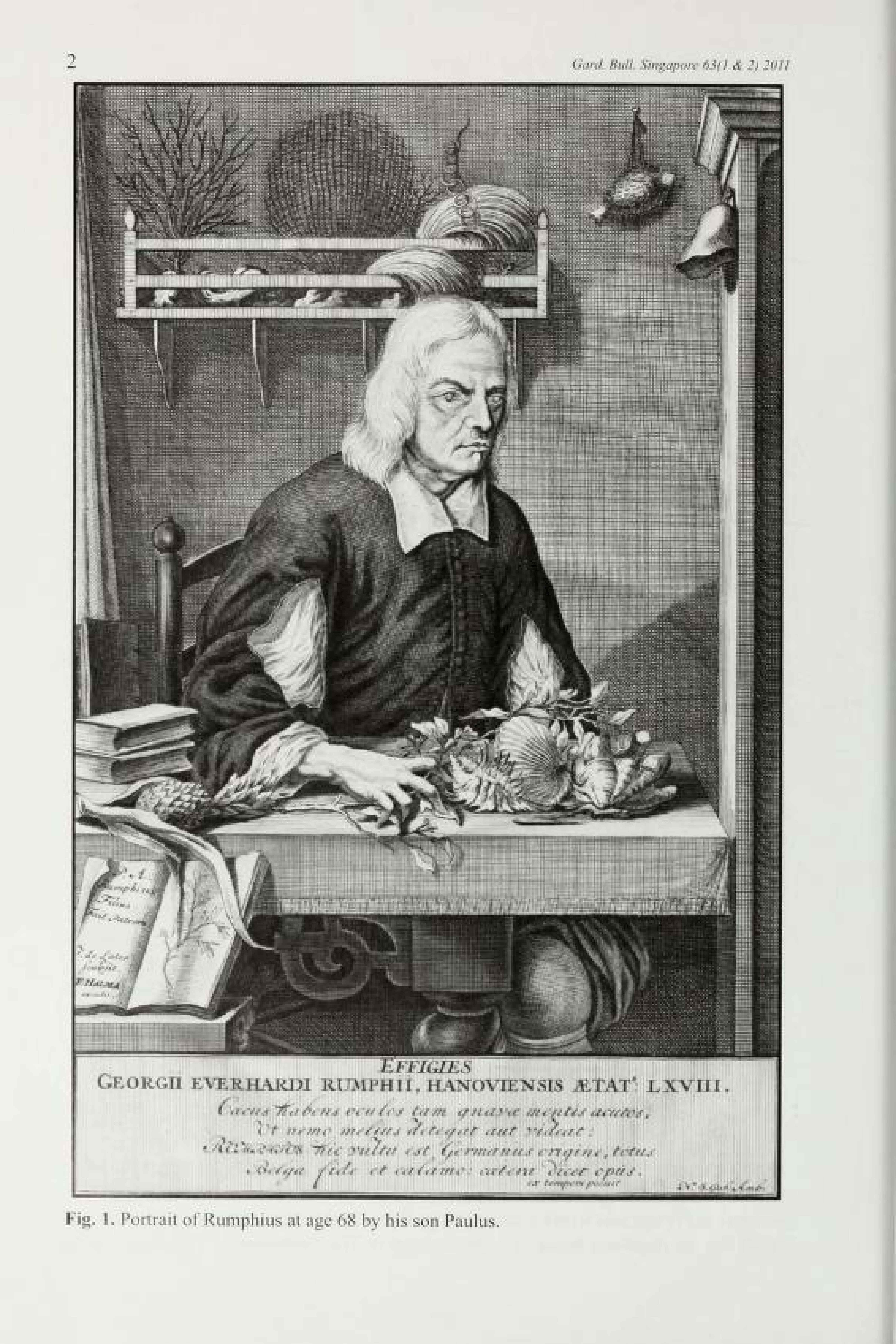 Potrait-G-E-Rumphius