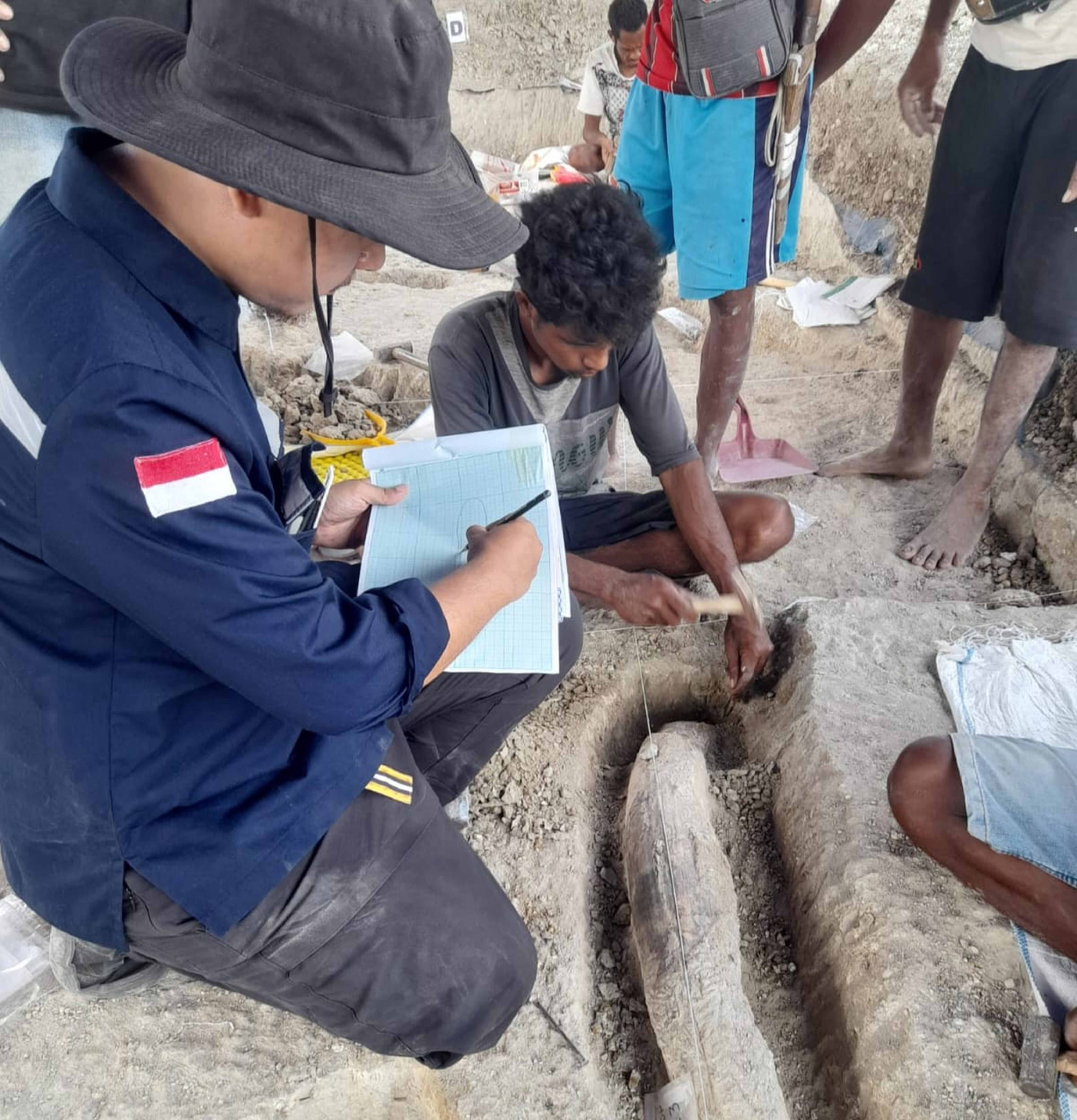 Bagaimana Cara Menemukan Fosil di Indonesia?