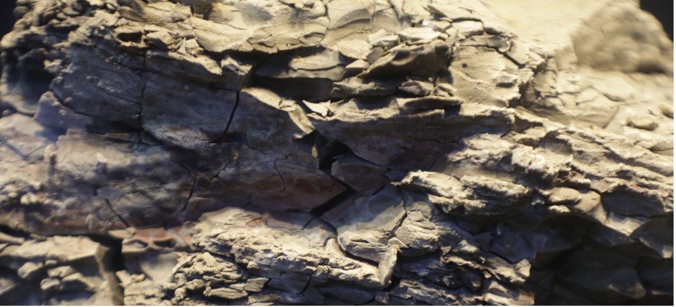 Misteri Sesar Terkubur