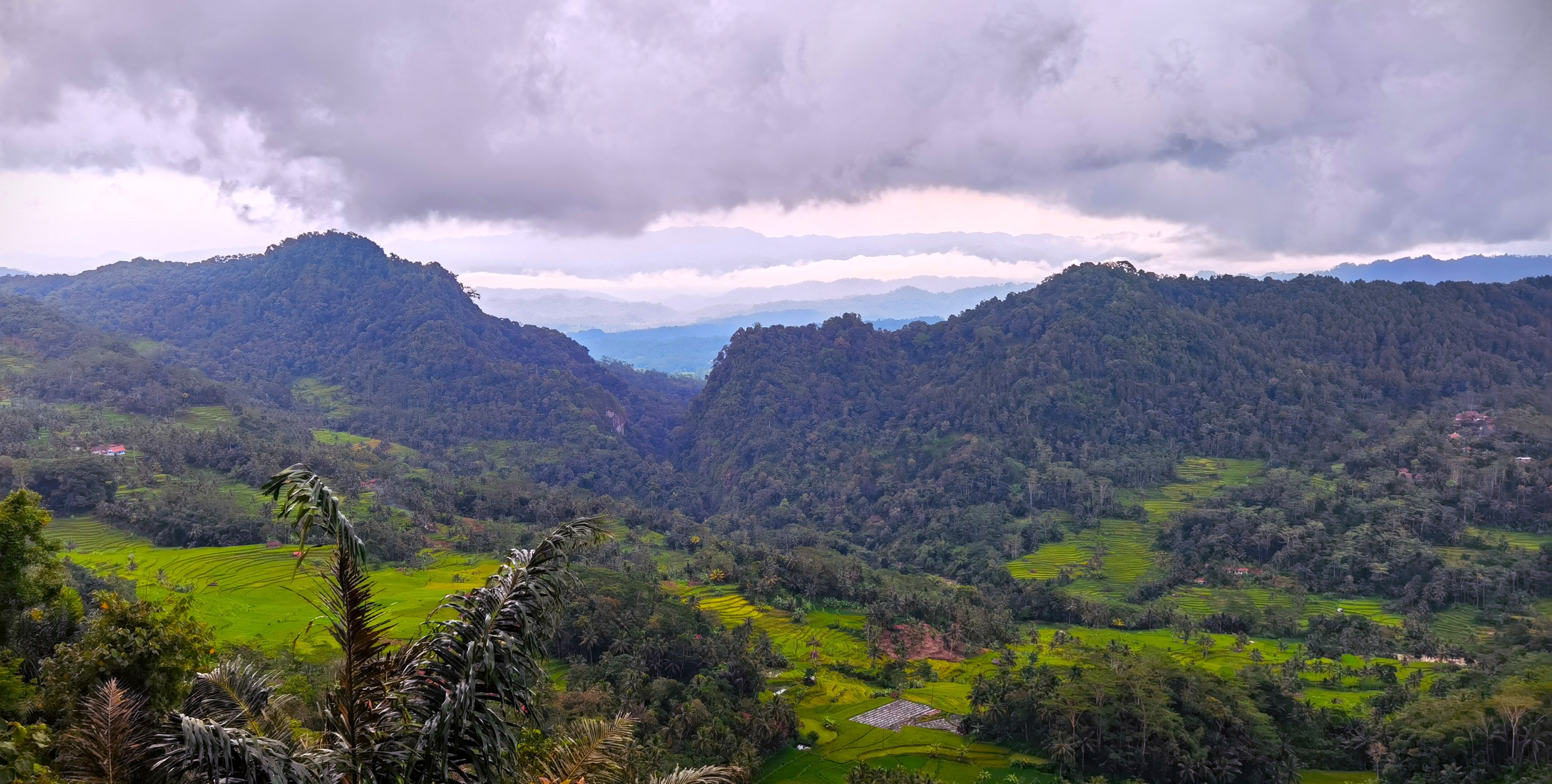 Menyelidik Koleksi Geologi di Ciamis dan Sekitarnya