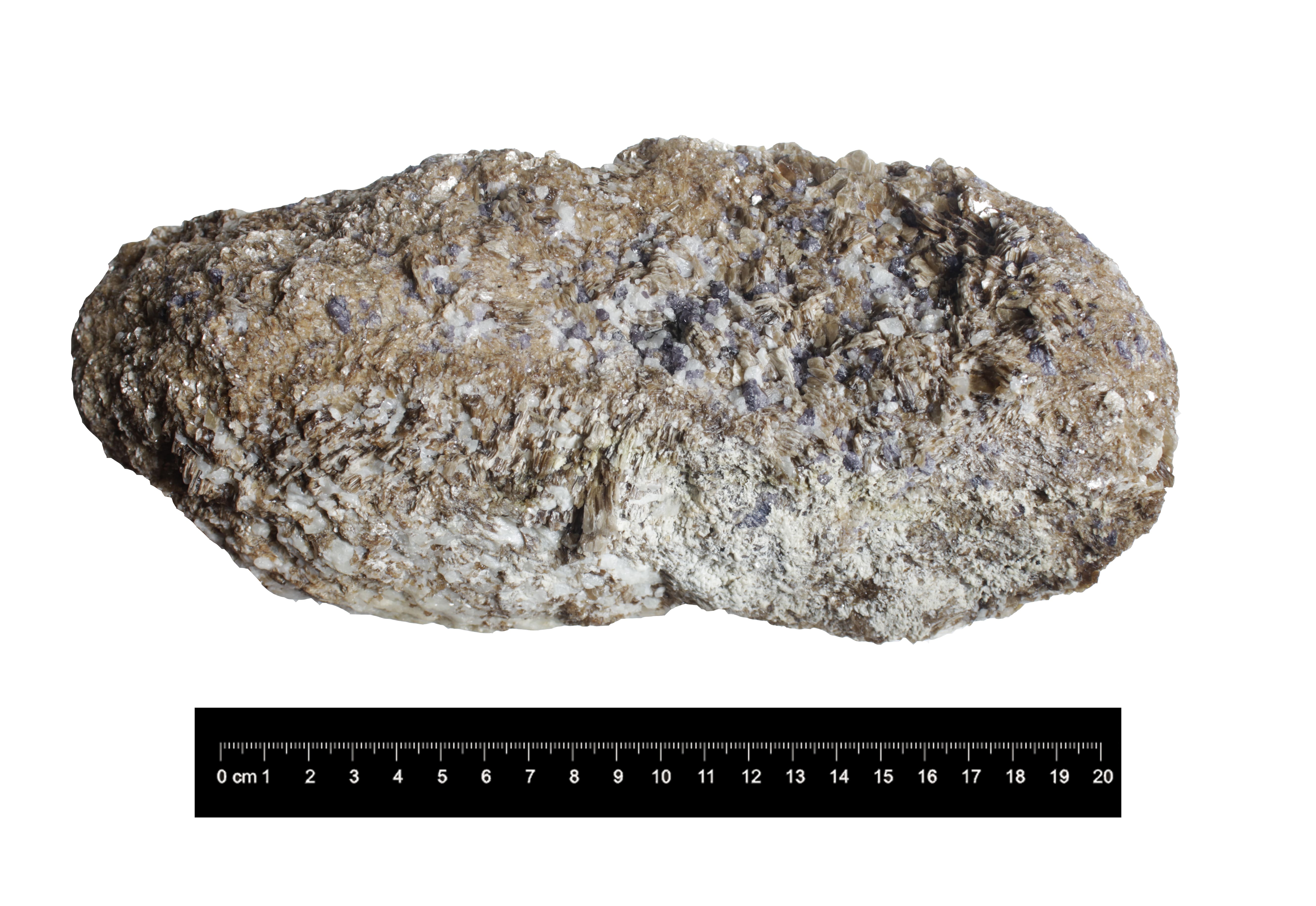 Spinel bearing Phlogophitic Marble