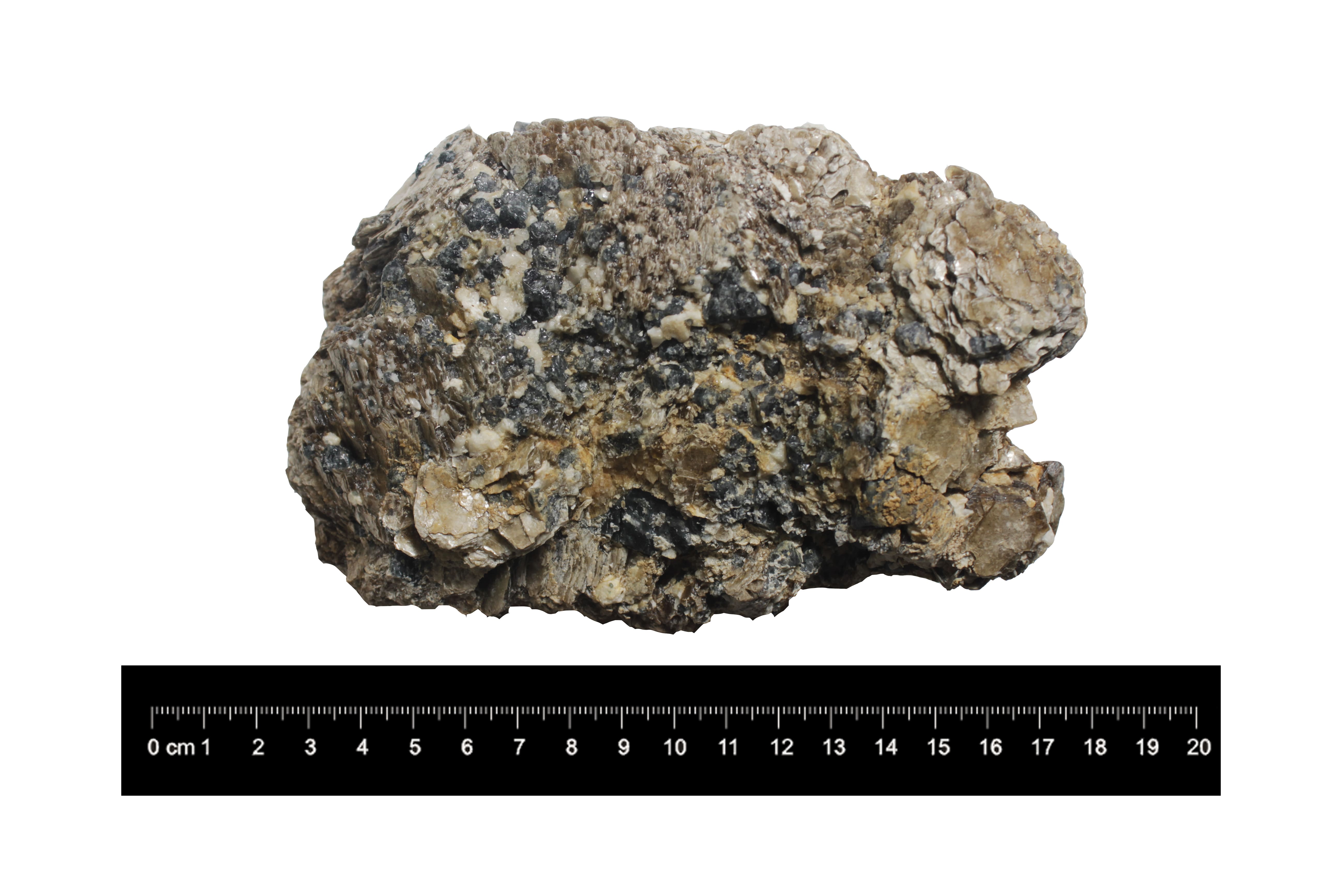 Saphire bearing Phlogophitic marble