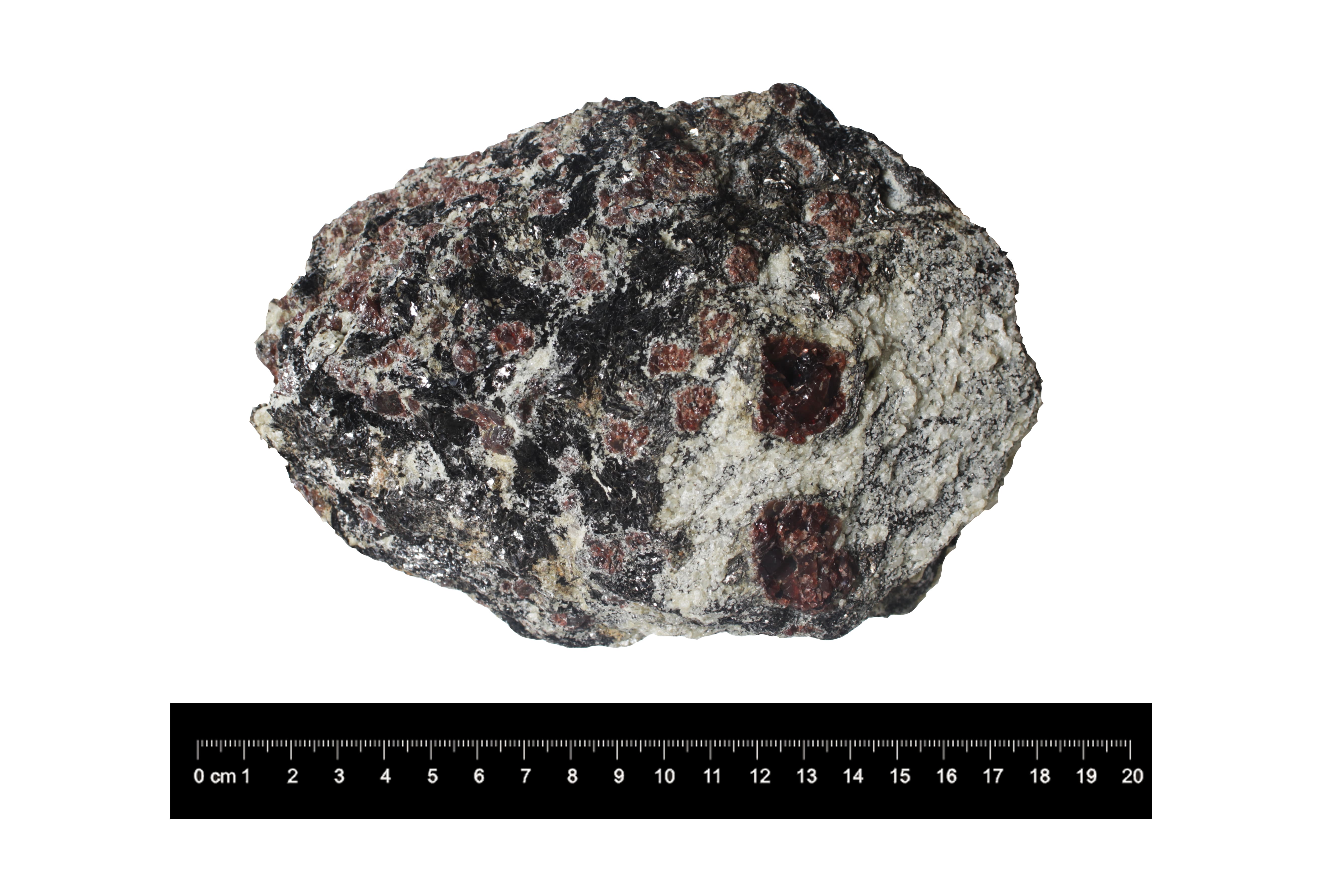 Garnet-Biotite gneiss