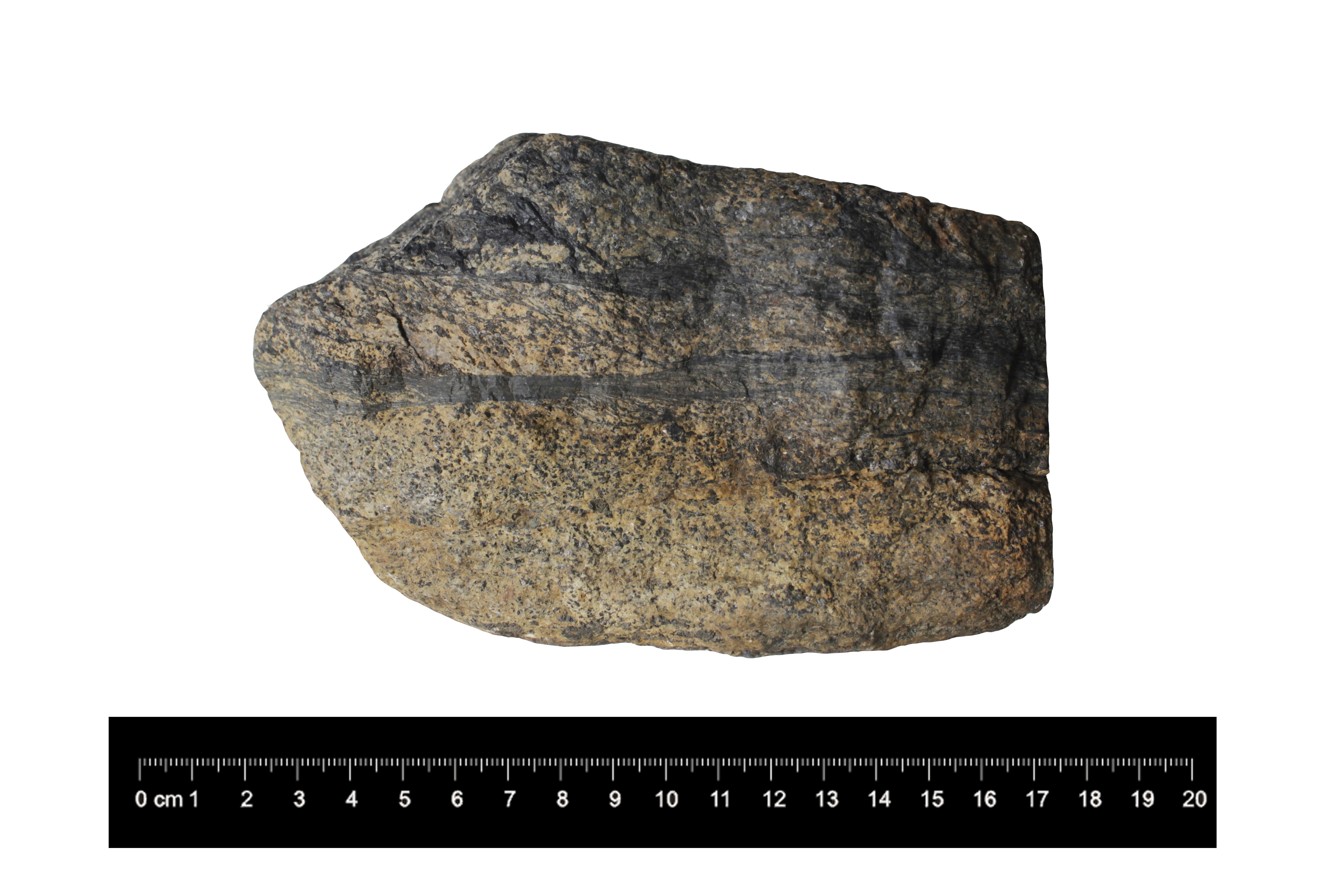 Pseudotachylite bearing Charnokite